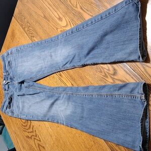 AMERICAN EAGLE Jeans Womens 0 BOOTCUT ? Denim ARTIST Flare ? Used
